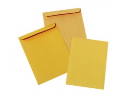 sachet_kraft_22_9x32_4cm